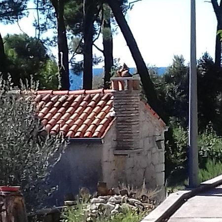 Apartman Laste-Rondule Rovinj Kültér fotó