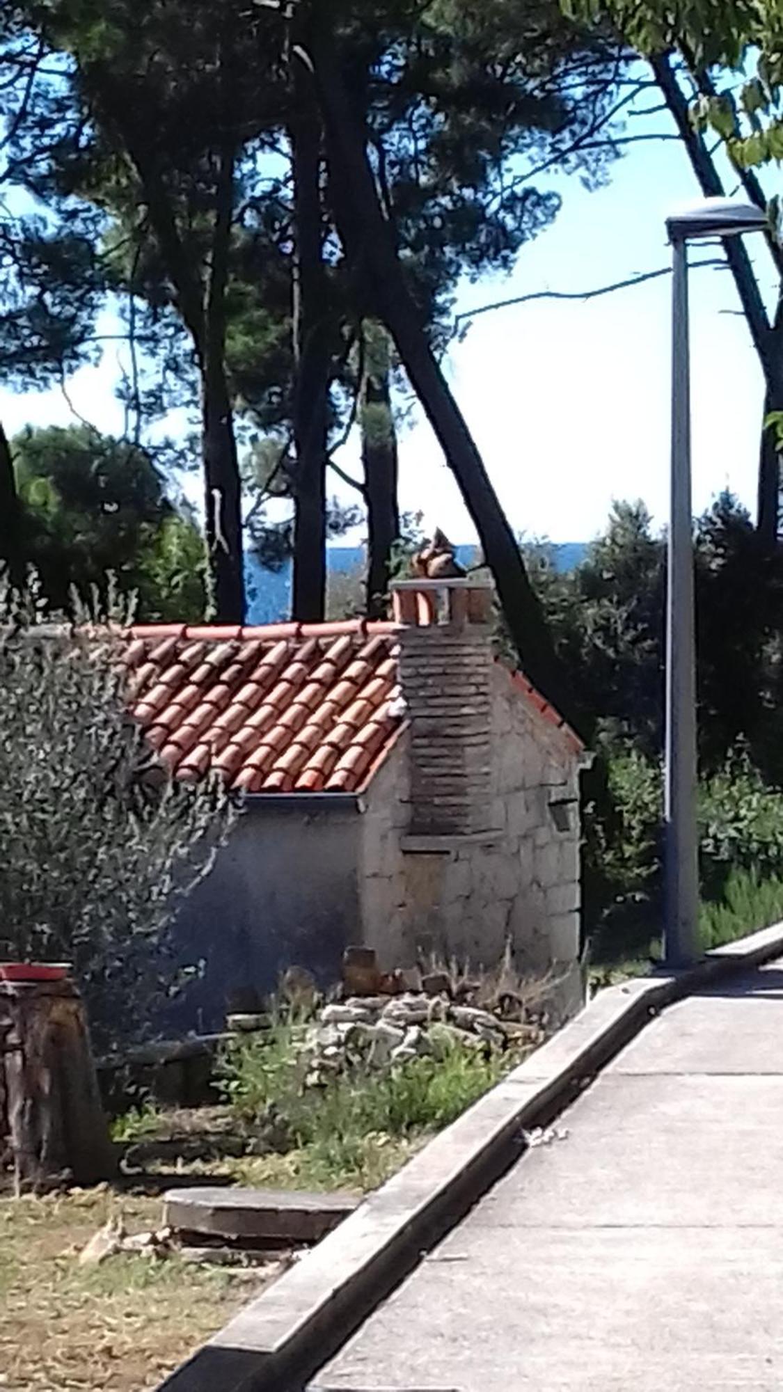 Apartman Laste-Rondule Rovinj Kültér fotó